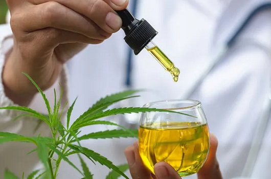 Brazil’s agricultural research agency gets cannabis research greenlight